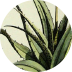 72_aloeVera - Nature Baby
