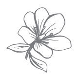 Values_Graphics-01 - Nature Baby