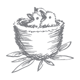Values_Graphics-02 - Nature Baby