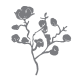 Values_Graphics-03 - Nature Baby