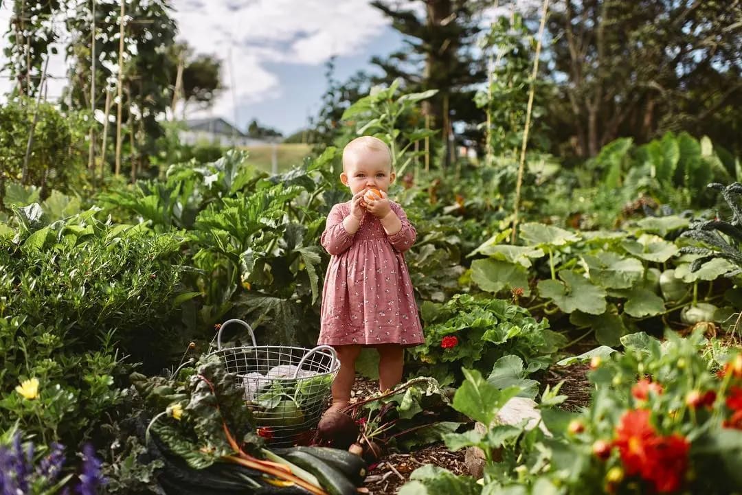 Future Foody: Organic Baby Food | Wellbeing - Nature Baby