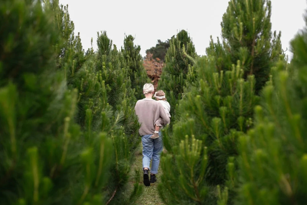 A Christmas Tale From New Zealand: Gem Adams | Parenthood