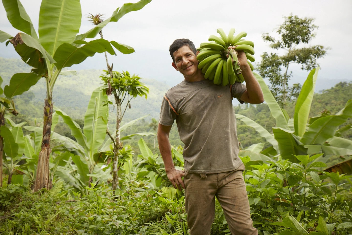 Being The Top Banana: Organically Grown Bananas And Why They Matter | Wellbeing - Nature Baby