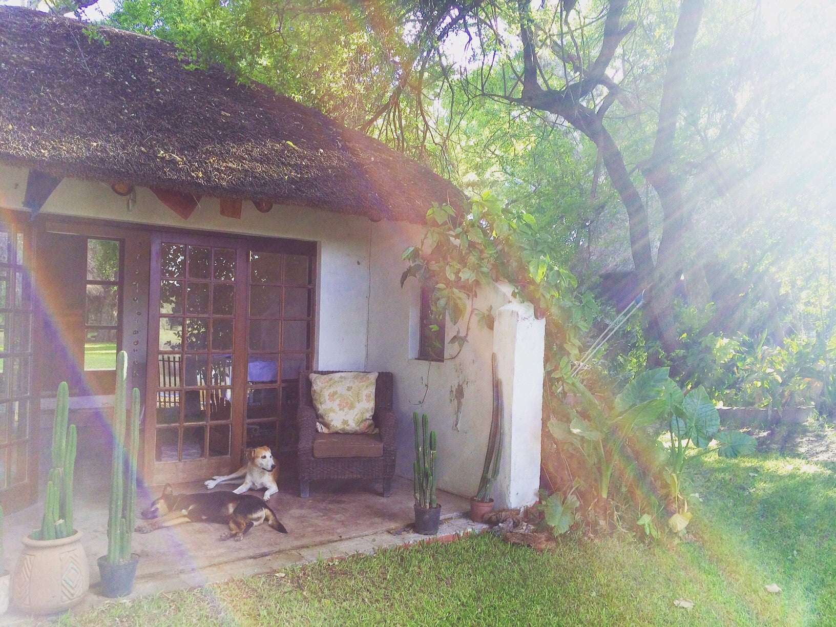 Mums Around The World – Chloe Sells | Parenthood - Nature Baby