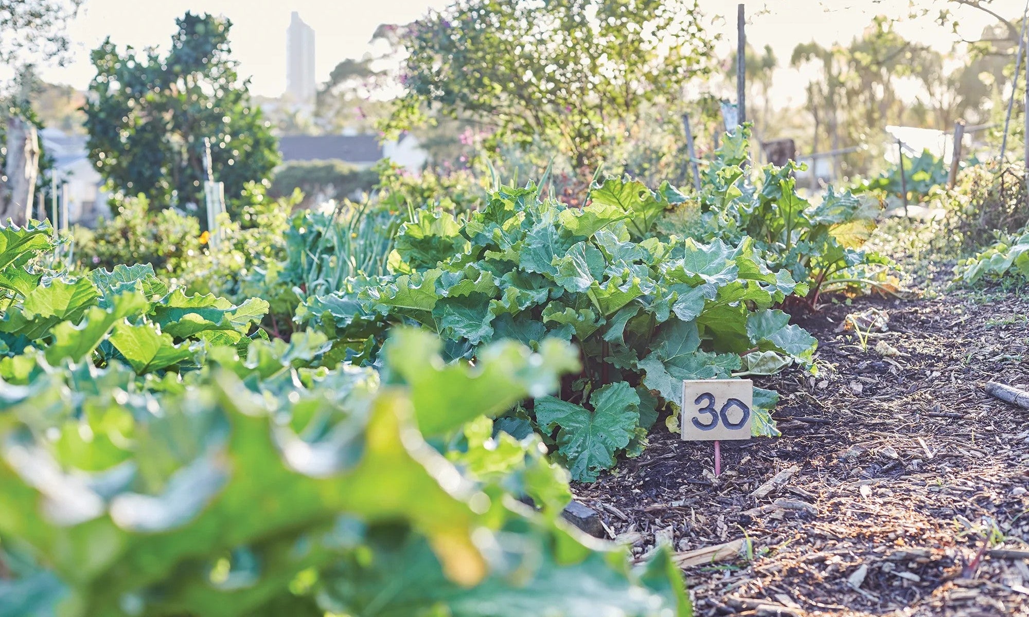 First Foods, Eating Organic | Who We Are