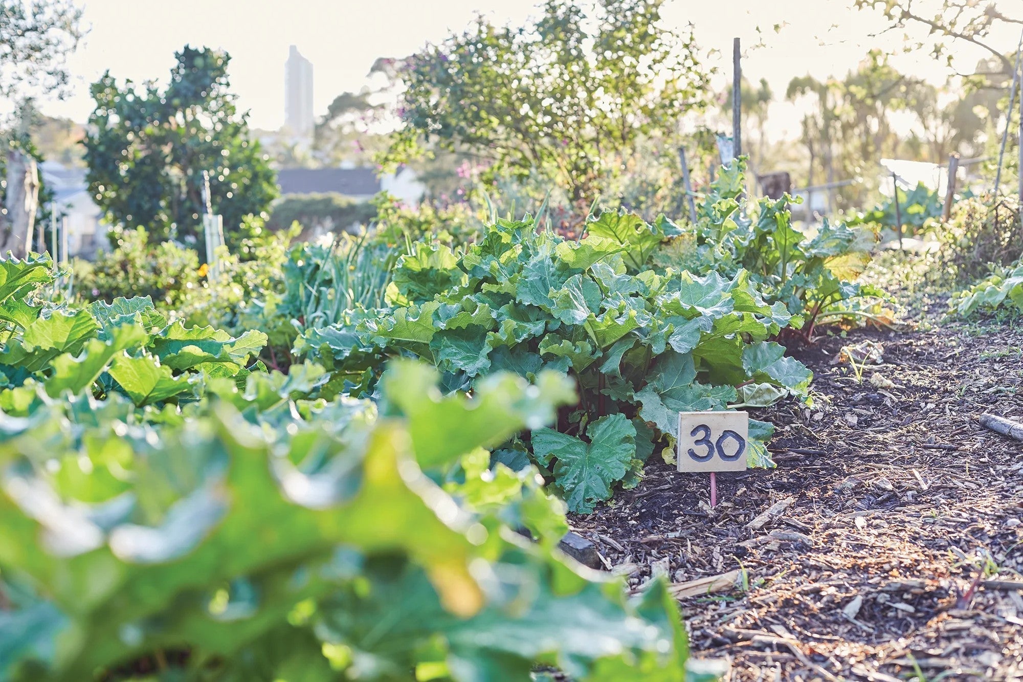 First Foods, Eating Organic | Who We Are - Nature Baby