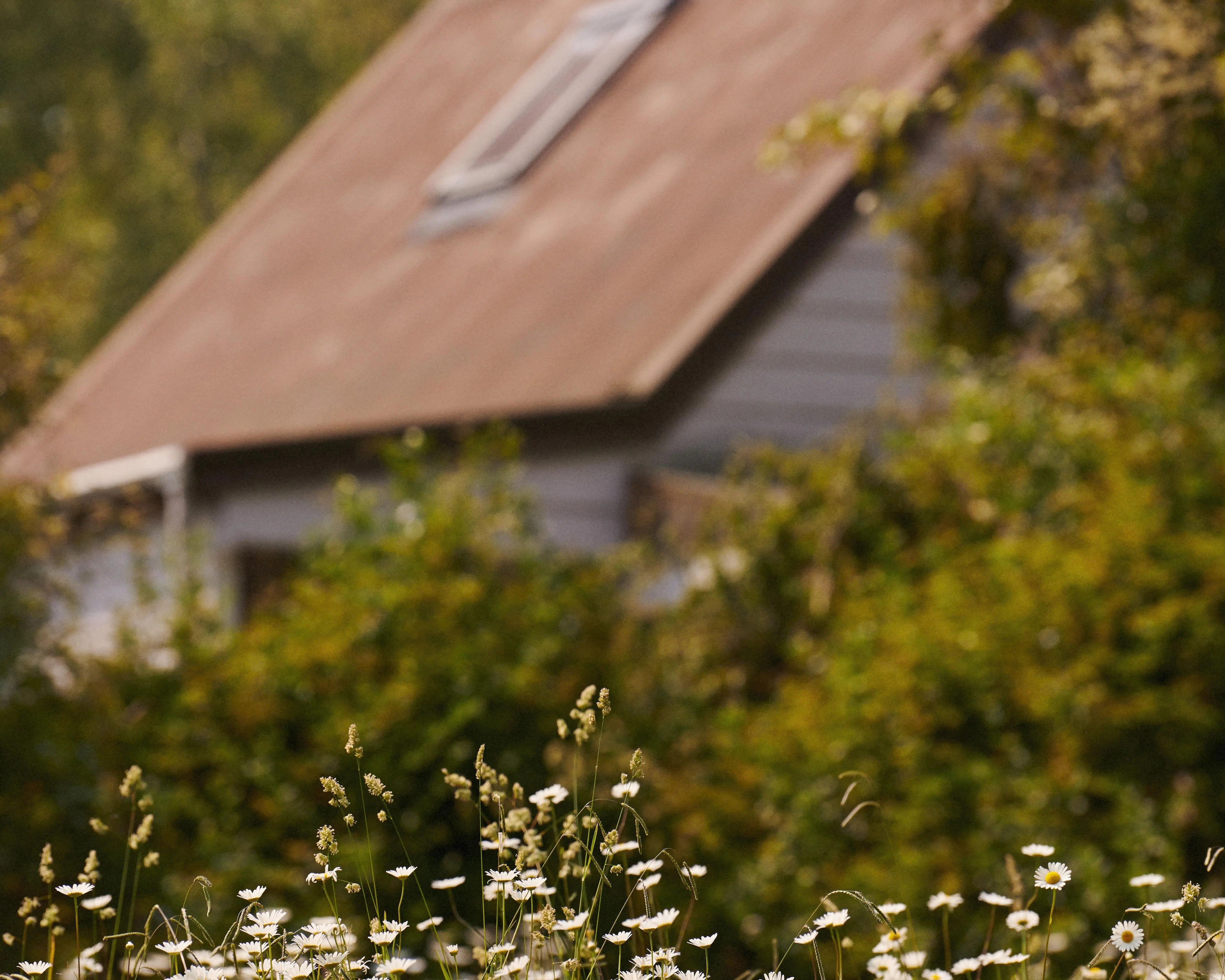 Ideas For Days Indoors | Living