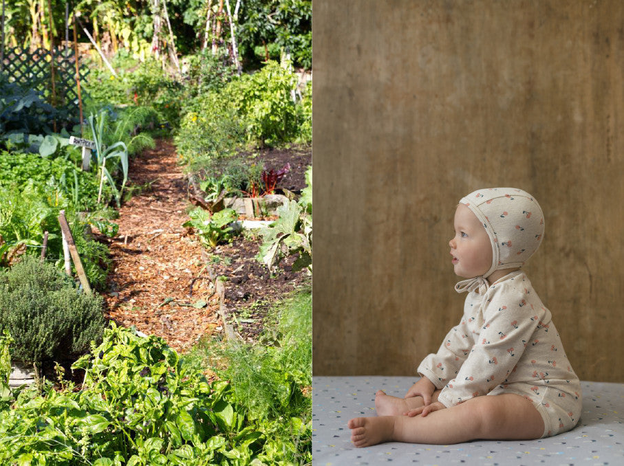 Community Gardens: A Space For Everyone | Living - Nature Baby