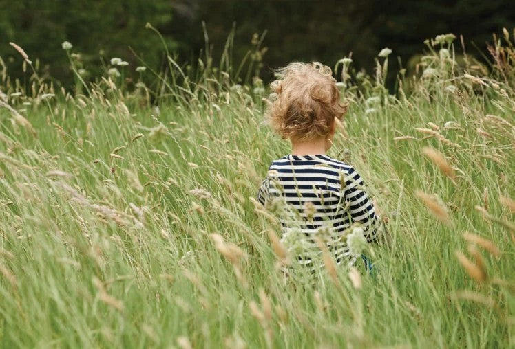 Organic Merino Wool | Who We Are