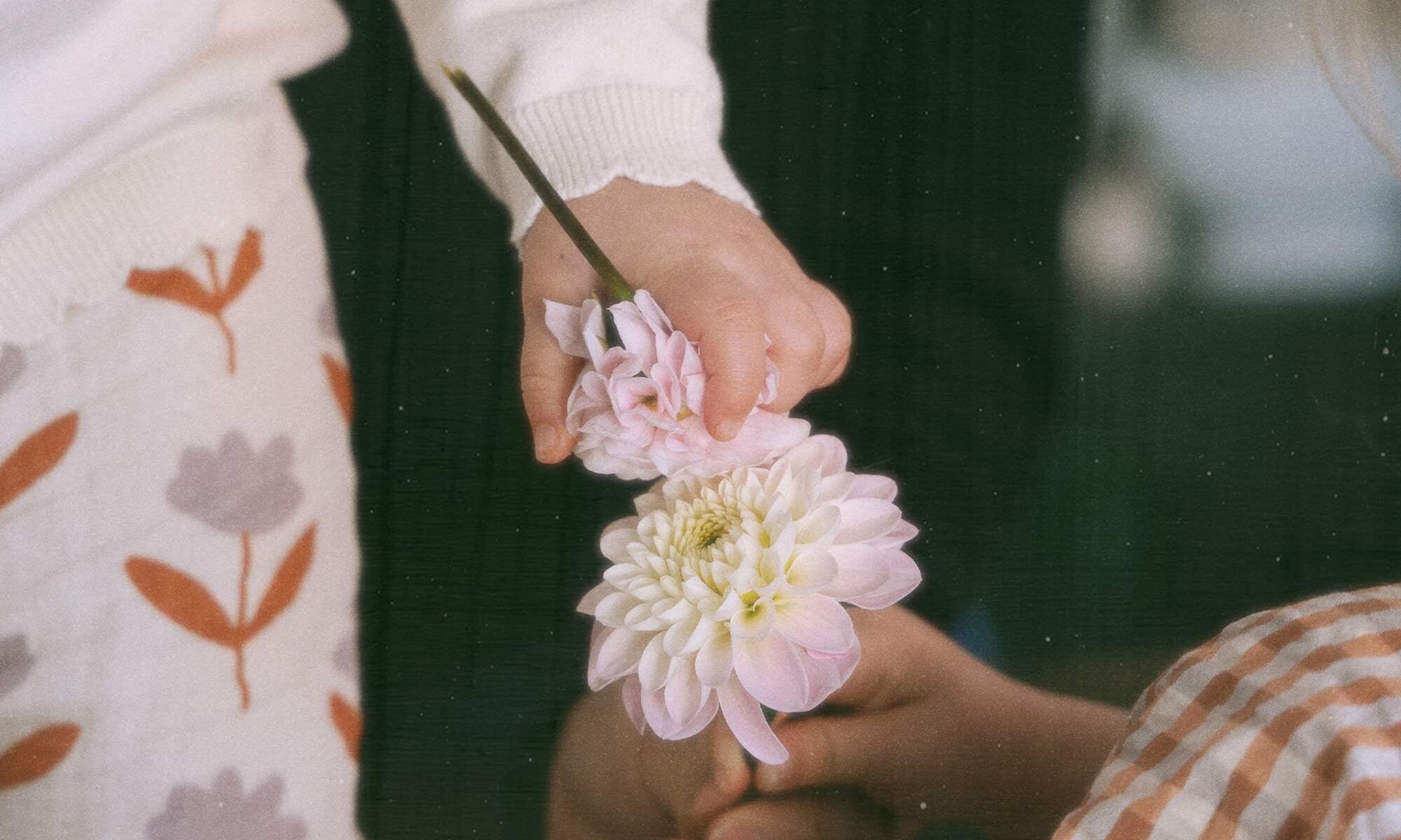 The Makers Series | Liv Wakem