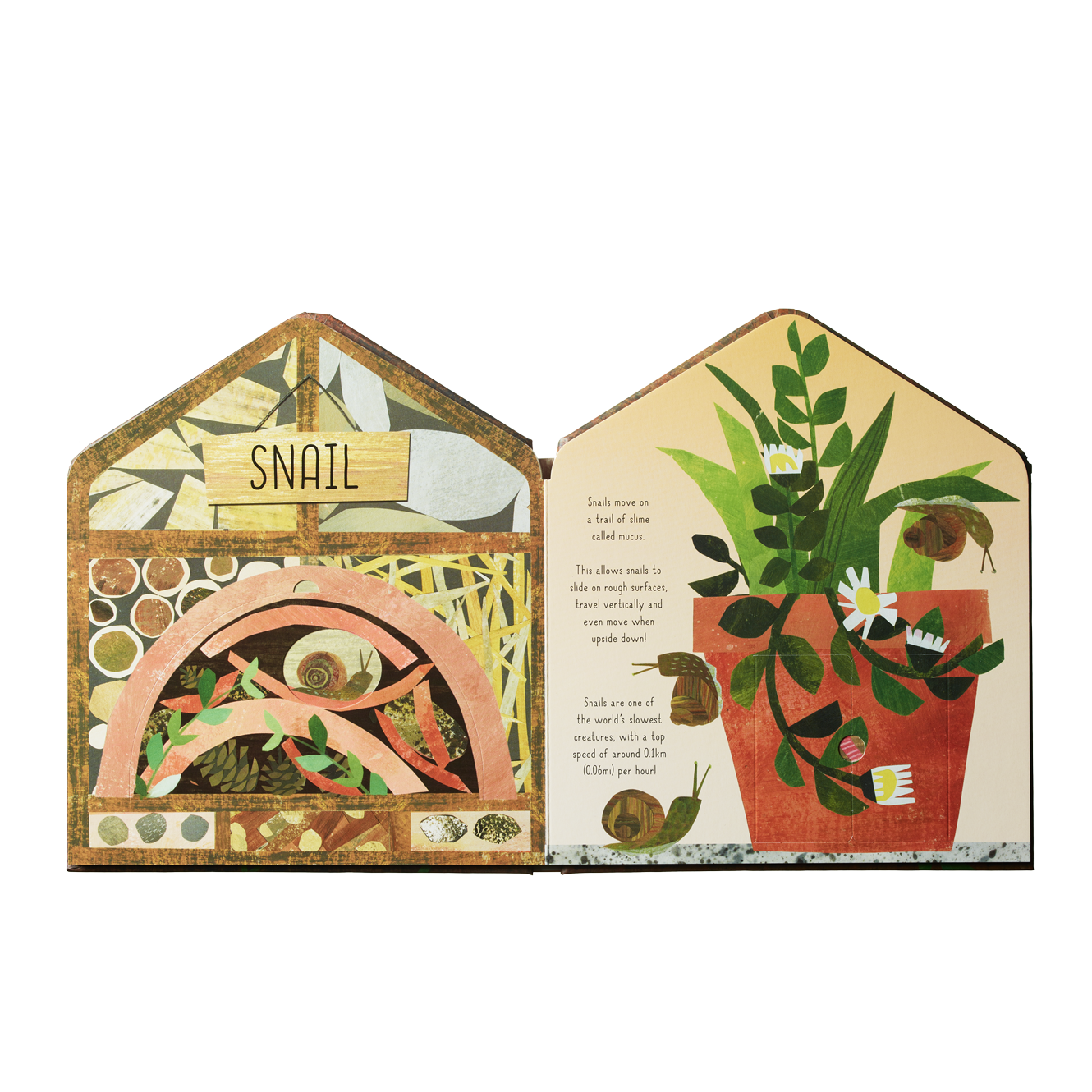 BUG HOTEL | None-Web-hover