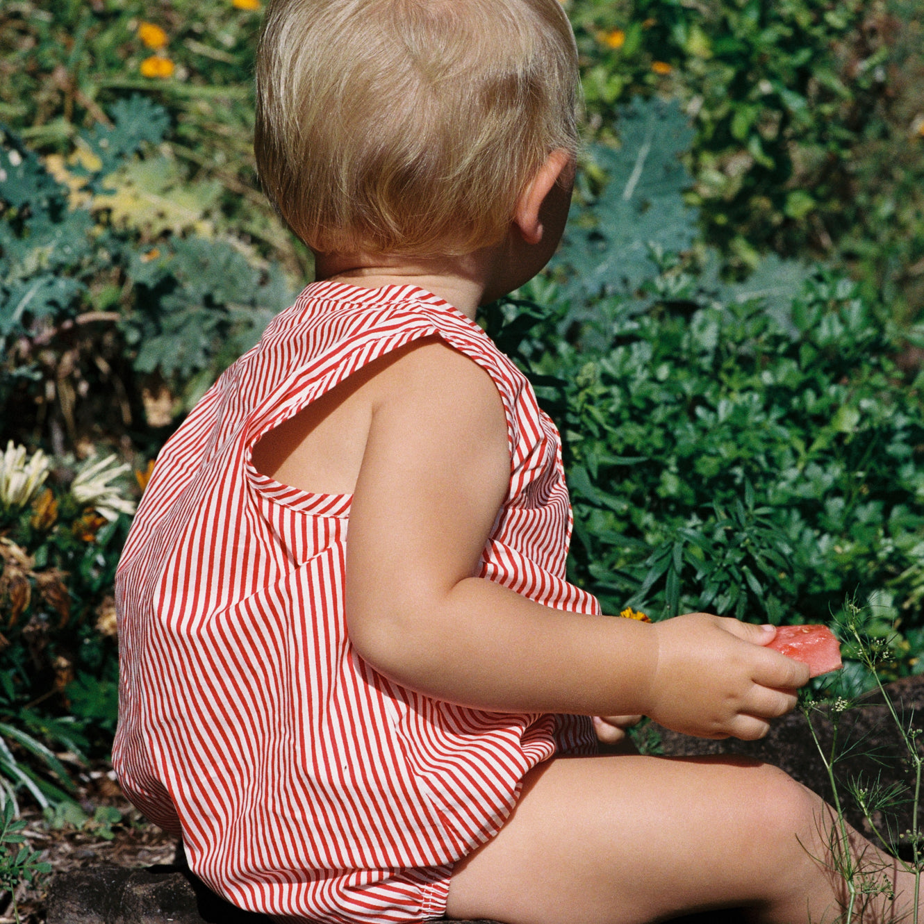CEDAR SUIT | Meri Stripe-Extra Img - 1