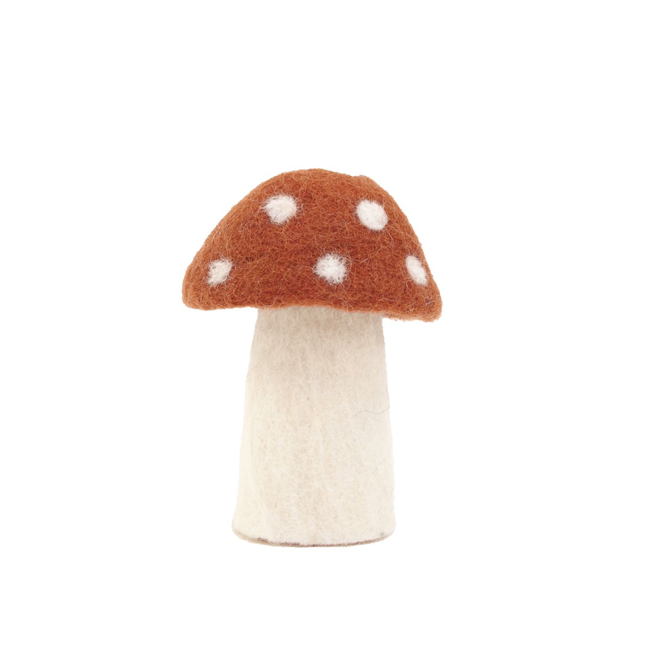 DOTTY MUSHROOMS | Coral-Web-front