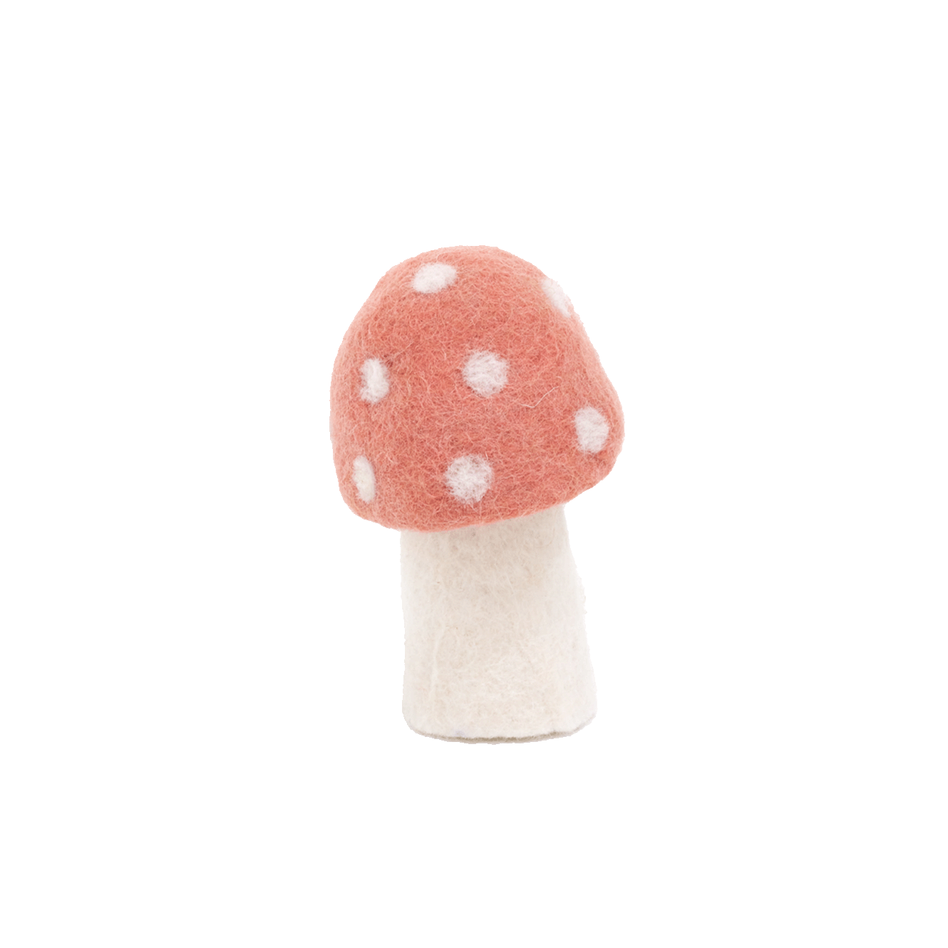 DOTTY MUSHROOMS | Litchee-Web-front