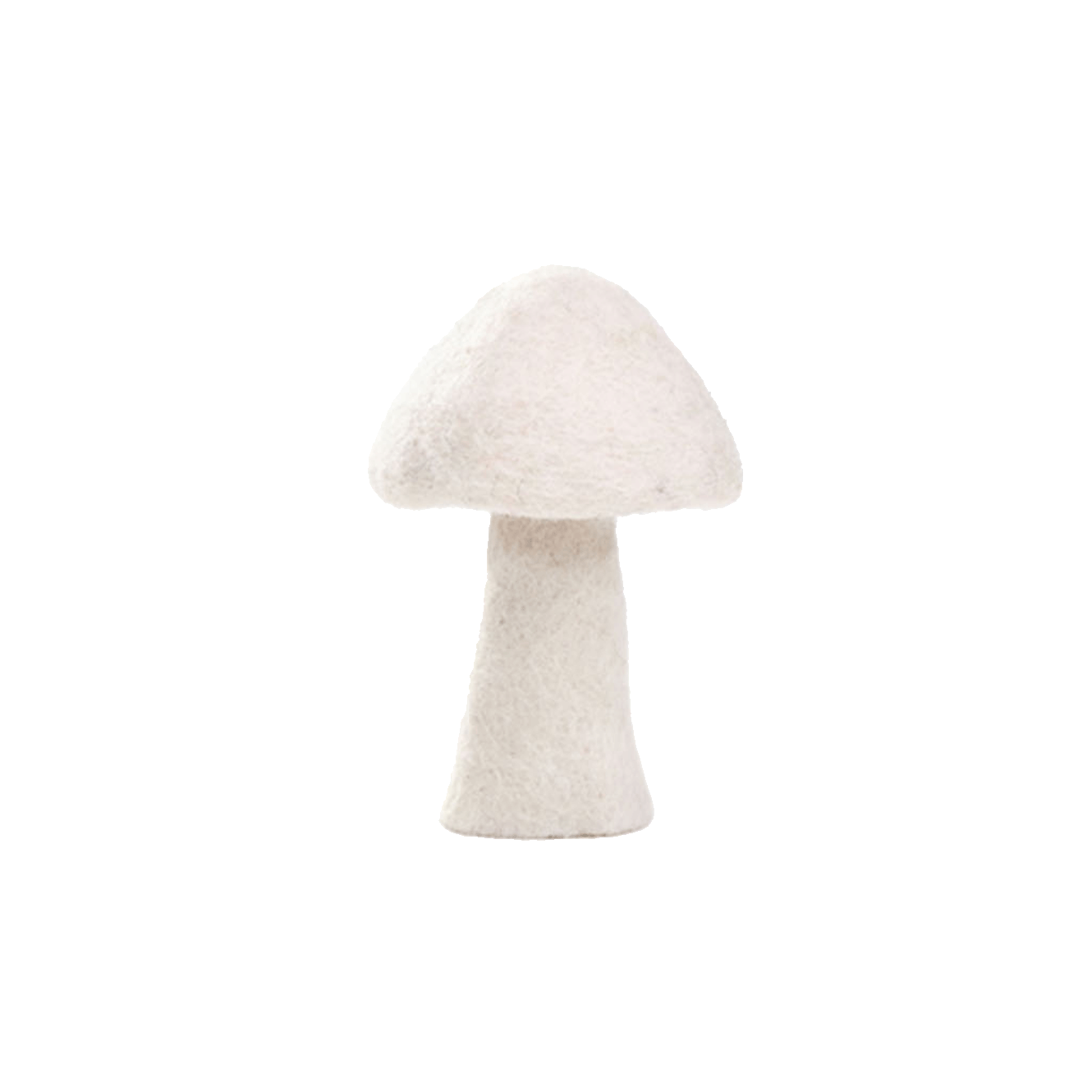 DOTTY MUSHROOMS | Natural-Web-front