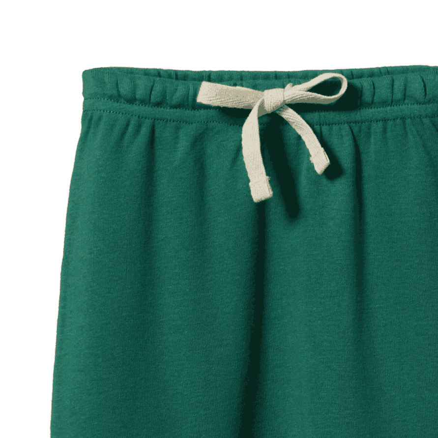 DRAWSTRING PANTS | Peppermint-Web-hover