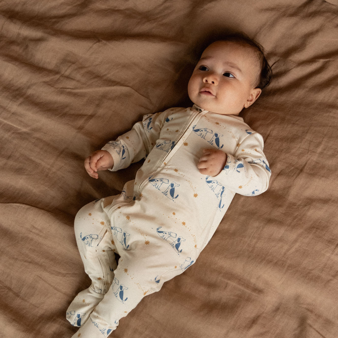 DREAMLANDS SUIT | Dog Dream Print-Web-hover