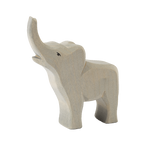 ELEPHANT BABY TRUMPETING | None-Web-front