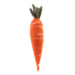 FRUIT AND VEGETABLE GARDEN | Carrot-Web-front