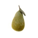 FRUIT AND VEGETABLE GARDEN | Pear-Web-front