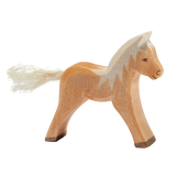 HAFLINGER COLT | None-Web-front