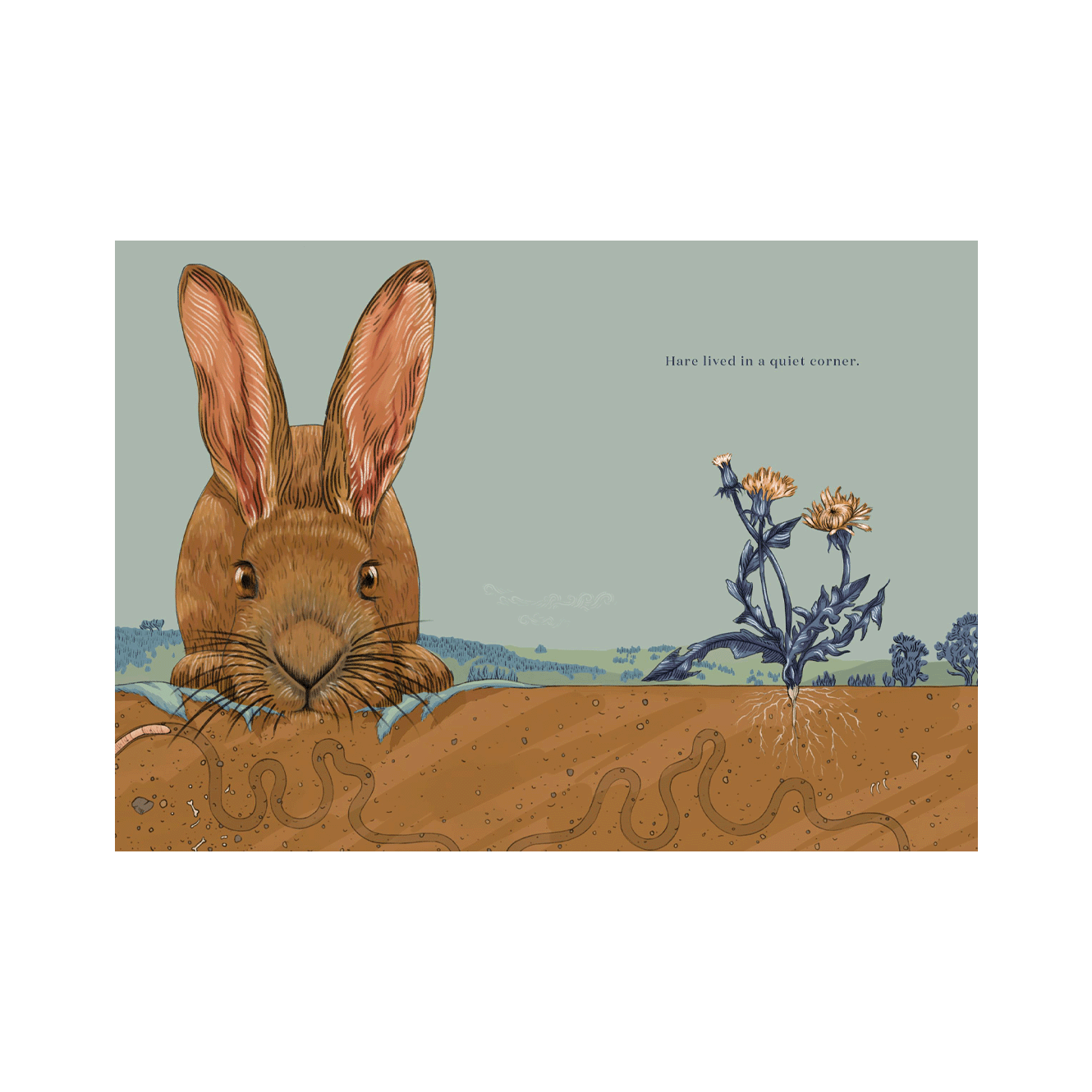 HARE & RURU A QUIET MOMENT | None-Web-hover