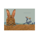 HARE & RURU A QUIET MOMENT | None-Web-hover