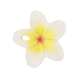 HAWAII THE FLOWER | None-Web-front