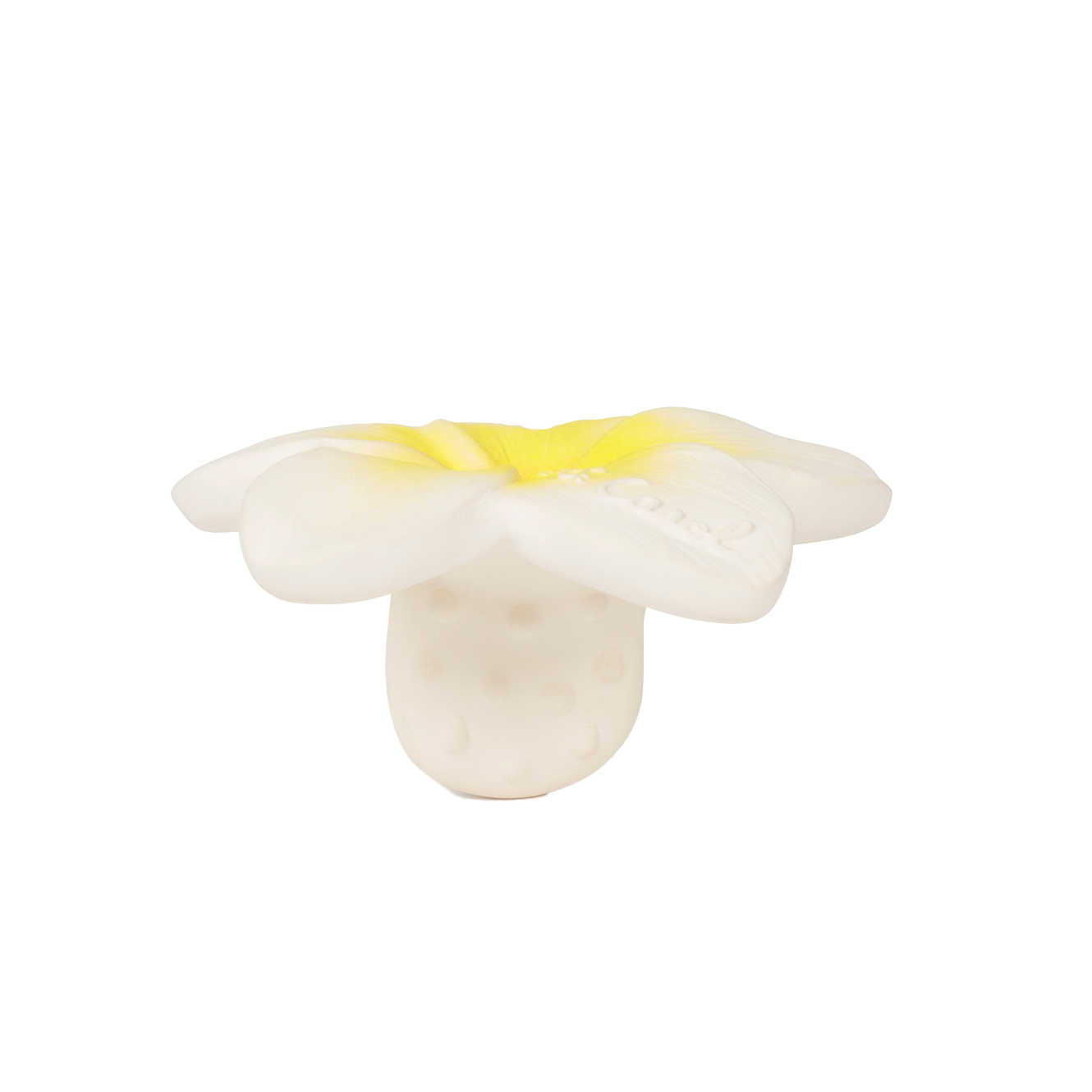 HAWAII THE FLOWER | None-Web-hover