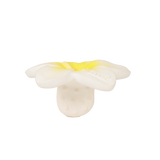 HAWAII THE FLOWER | None-Web-hover