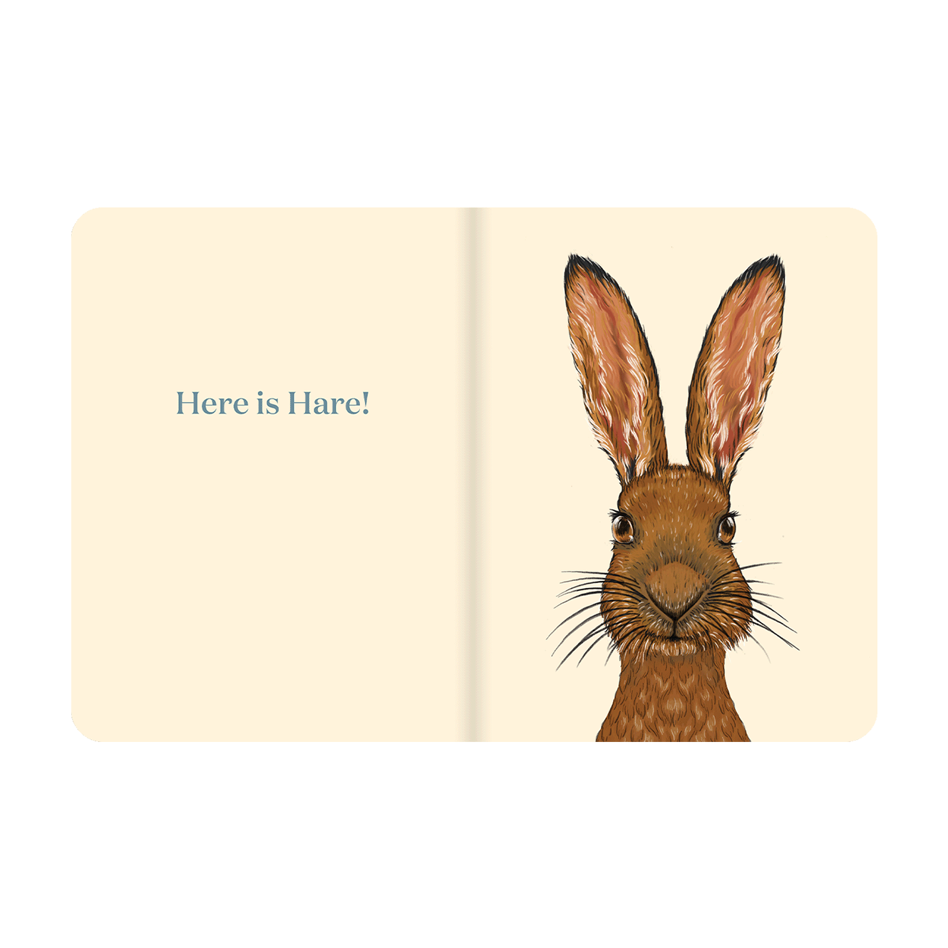 HERE IS HARE | None-Extra Img - 1