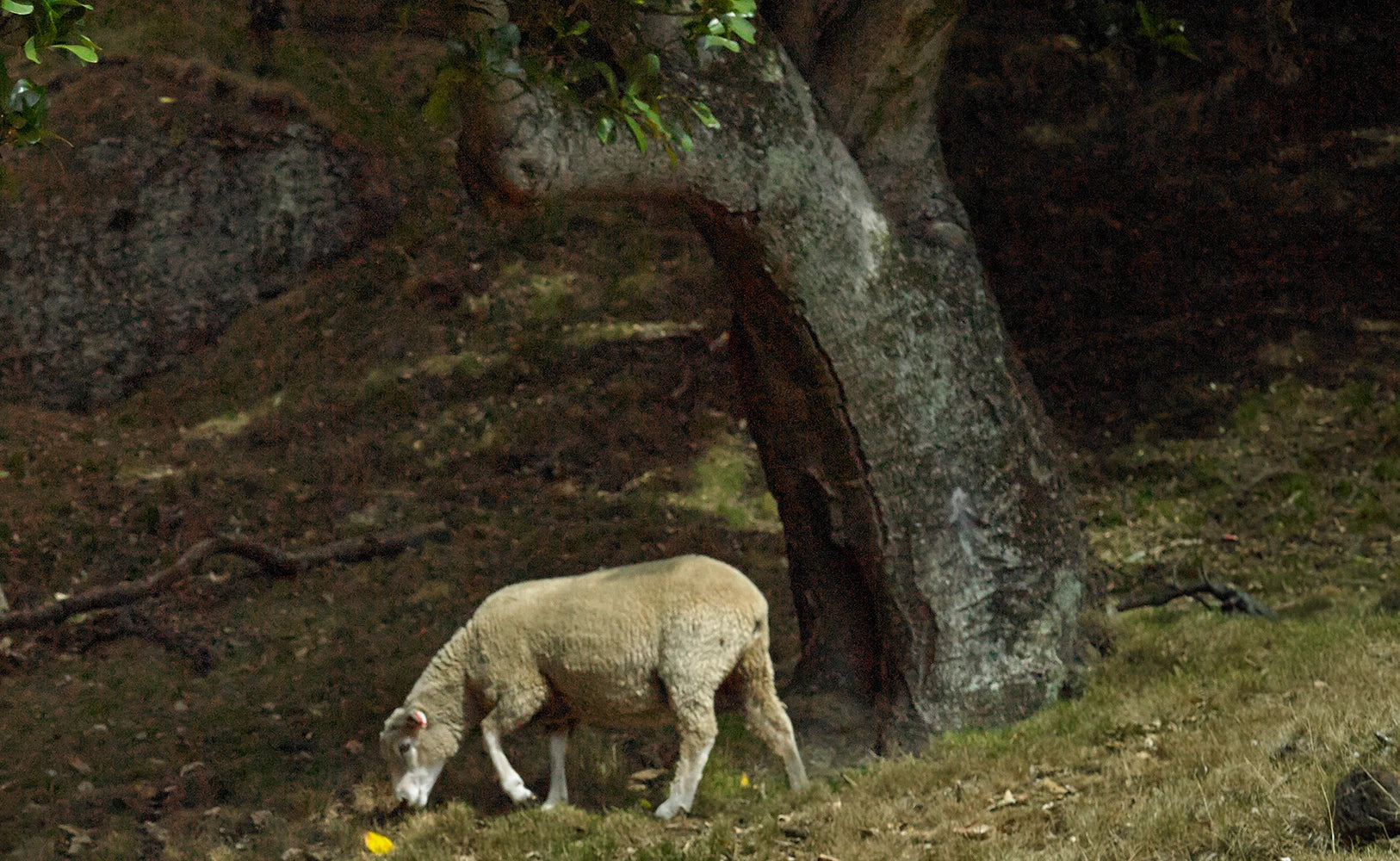 How_is_it_produced_Desktop_2 - Nature Baby