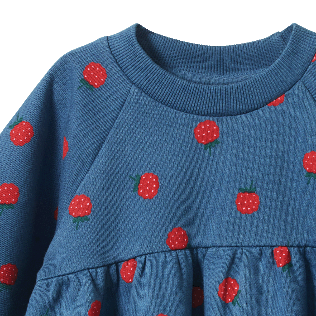 INES DRESS | Raspberry Blue Print-Extra Img - 3