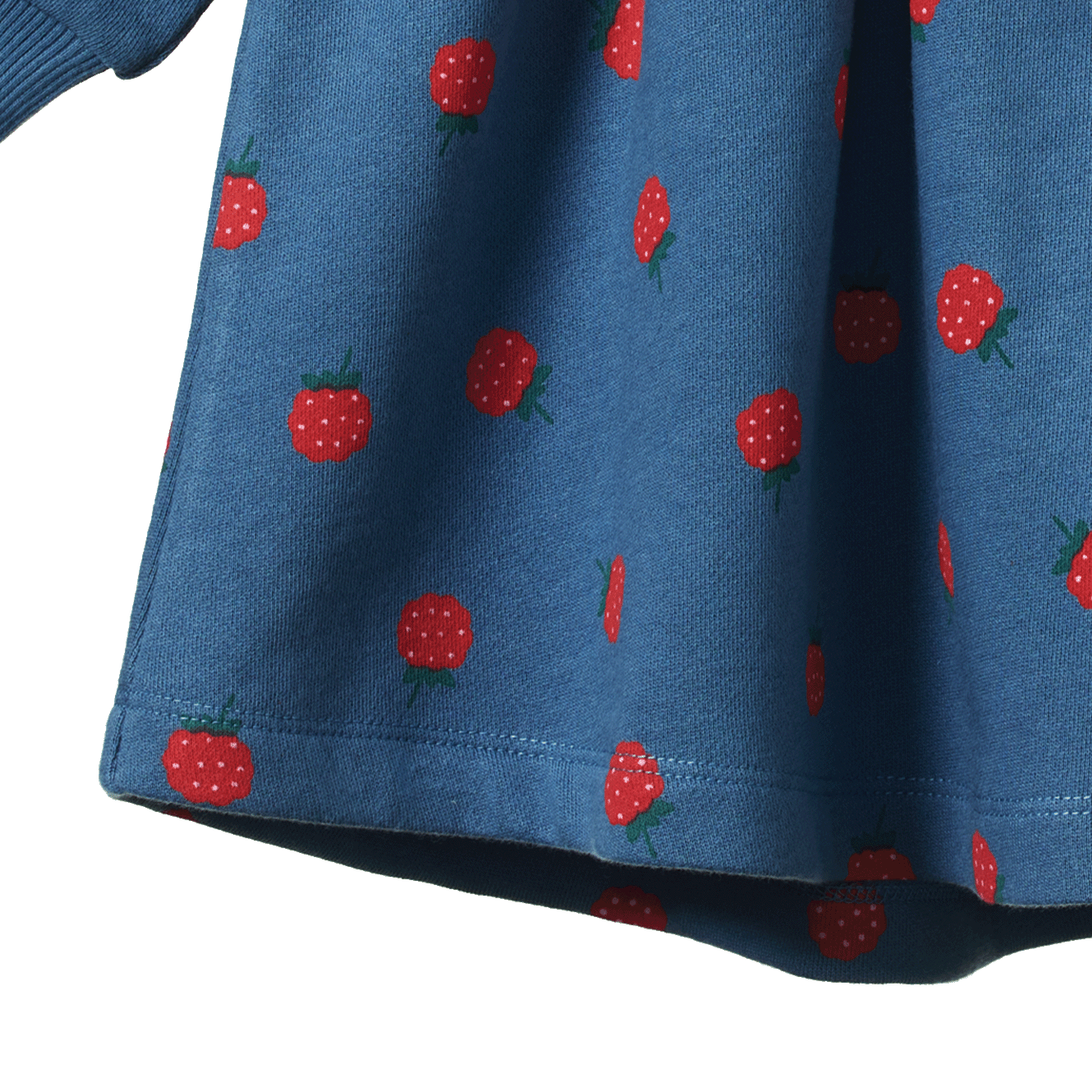 INES DRESS | Raspberry Blue Print-Extra Img - 4