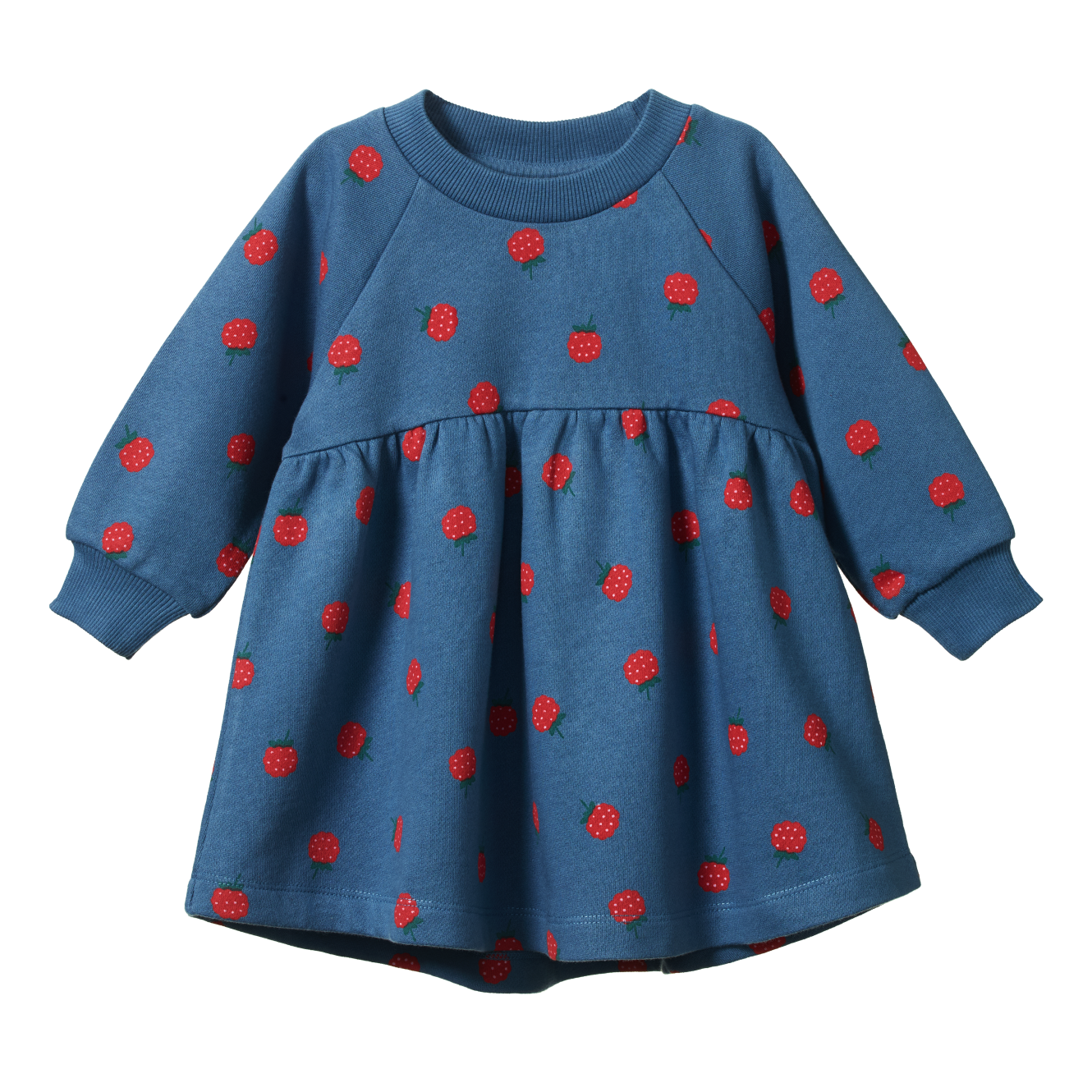 INES DRESS | Raspberry Blue Print-Web-front