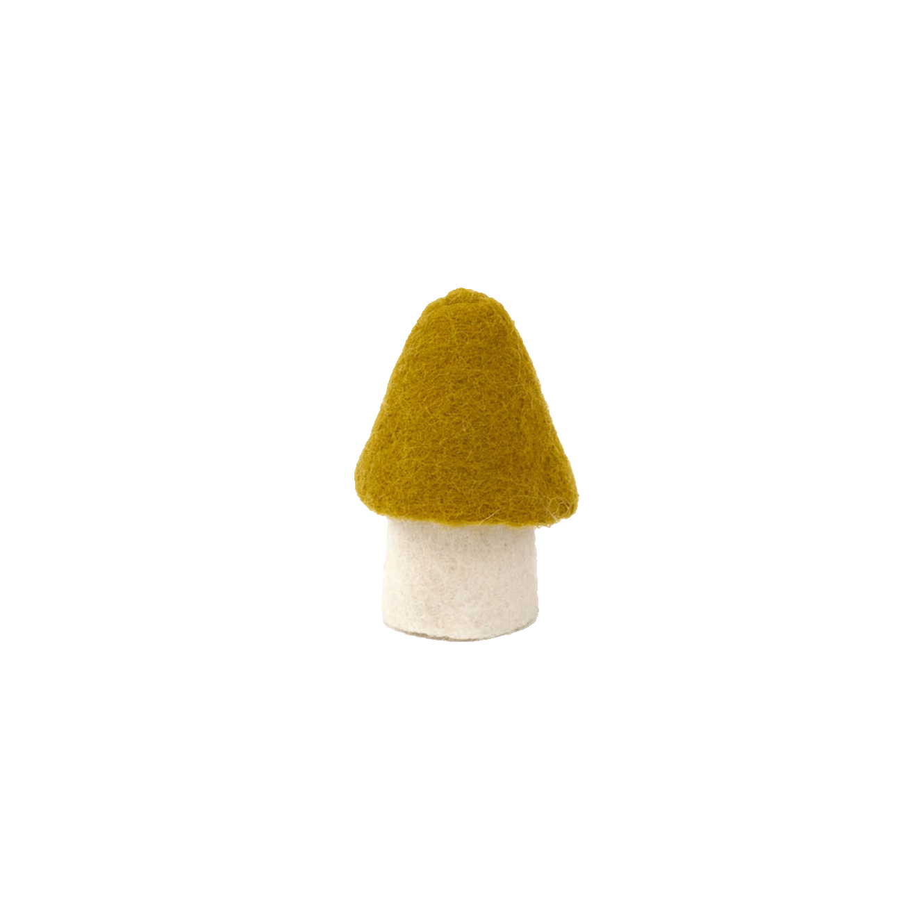 MOREL MUSHROOMS | Pistachio-Web-front