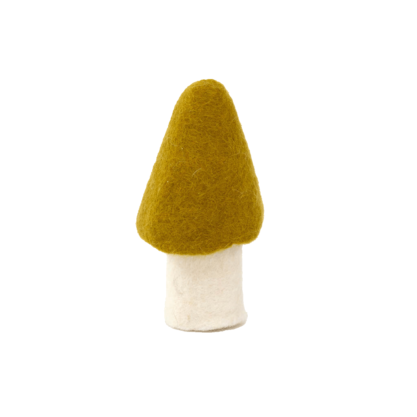 MOREL MUSHROOMS | Pistachio-Web-hover