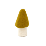 MOREL MUSHROOMS | Pistachio-Web-hover