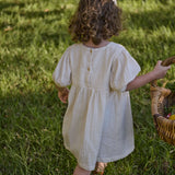 Albertine Dress Muslin