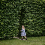 NORA DRESS | Bluebelle Check-Web-hover