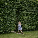 NORA DRESS | Bluebelle Check-Web-hover
