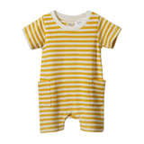OCEAN SUIT | Golden Sea Stripe-Web-front