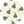 Pear_print - Nature Baby