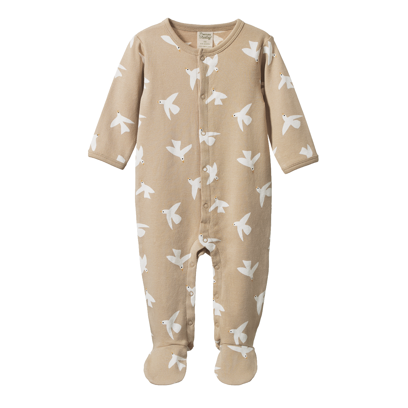 STRETCH & GROW | Poet Print-Web-front