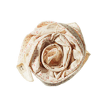 WRAP | Dandelion Print-Web-front