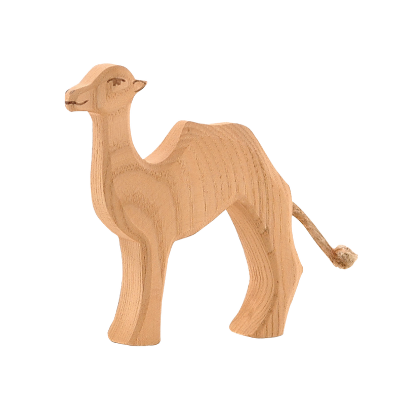 Ostheimer camel sales