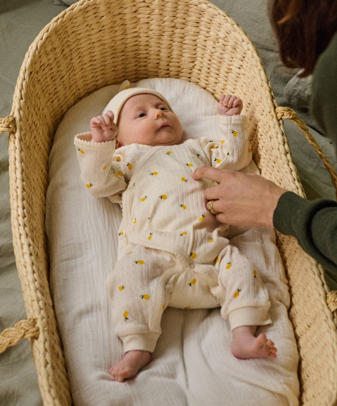 Moses Baskets Bassinets Shop Online Nature Baby NZ