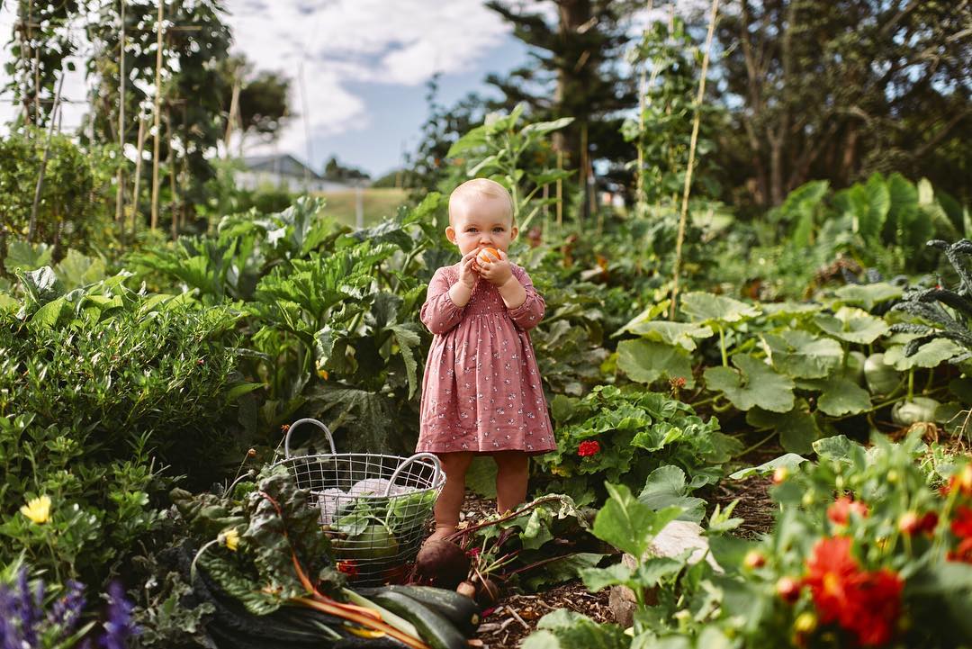 future foody: organic baby food