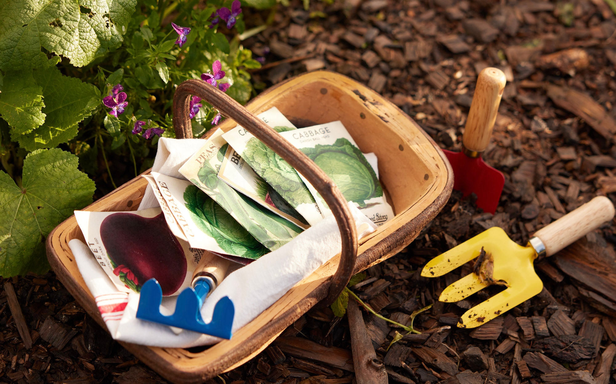 garden treasure hunt